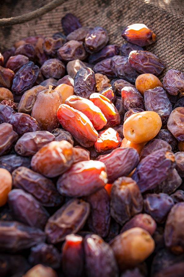 Ripe dates ready for harvest