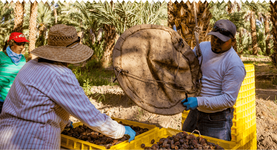 sorting-dates-tile